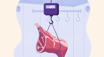 Ilustración de una balanza colgante con gancho reforzado pesando una media res en la cámara fría de una carnicería